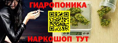 сатива Гусиноозёрск