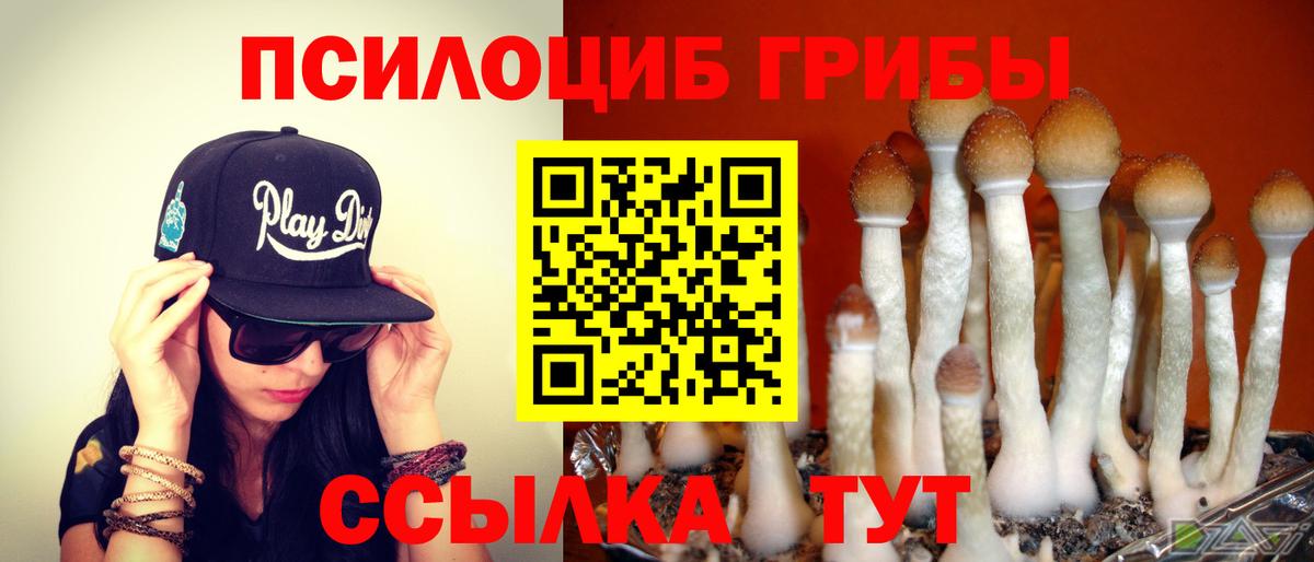Галлюциногенные грибы Psilocybine cubensis  Псилоцибиновые грибы мухоморы  Назрань  Вход с VPN 